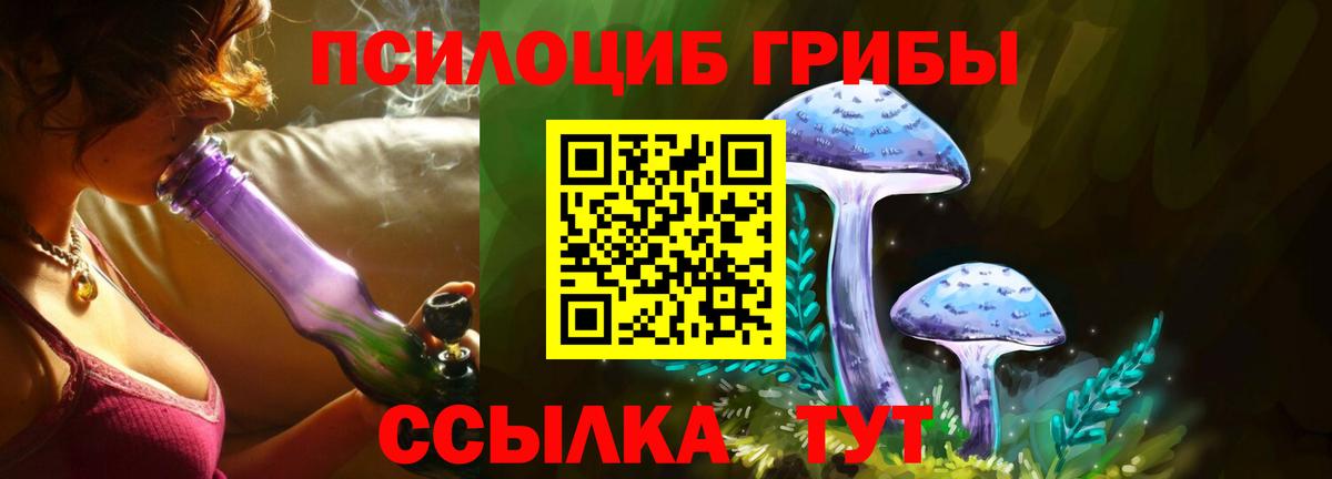 Галлюциногенные грибы Cubensis Ревда